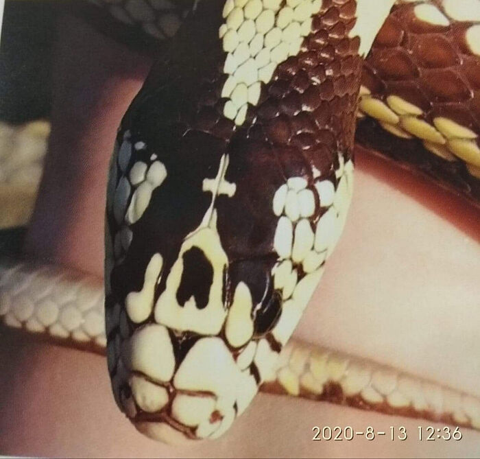 чудеса и вяра