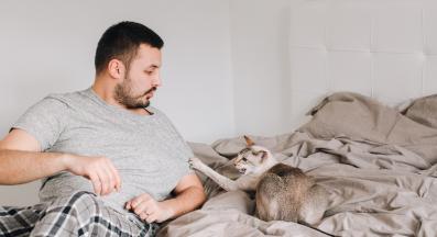 домашна котка