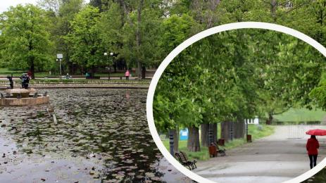 борисова градина