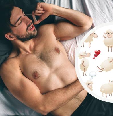 мъж легло овце