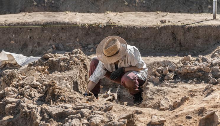 археология - ПОРЕДНА НАХОДКА У НАС: Откриха стотици жълтици при разкопки (СНИМКА)