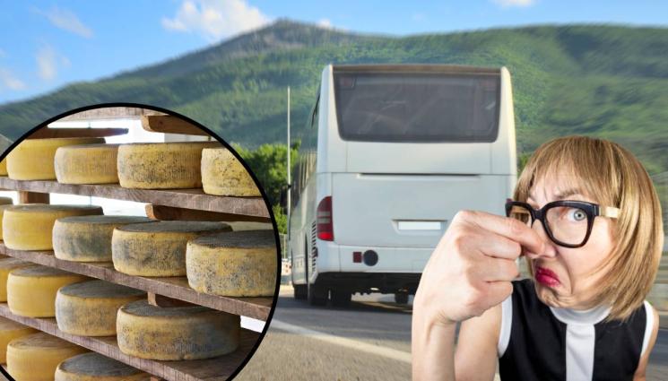 сирене автобус - МИРИЗЛИВА ИЗЛАГАЦИЯ: В Германия заловиха 250 кг развалено сирене в български автобус