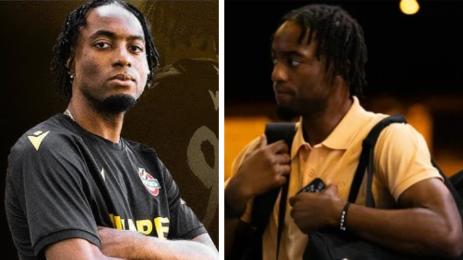 Вини Трибуле