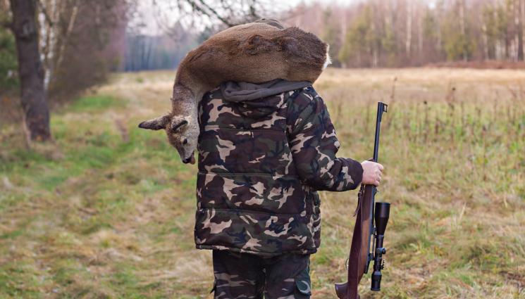 бракониер - ИЗНЕНАДА: Спипаха бракониер, оказа се съдия!