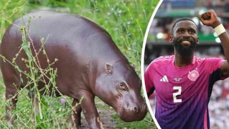 Антонио Рюдигер