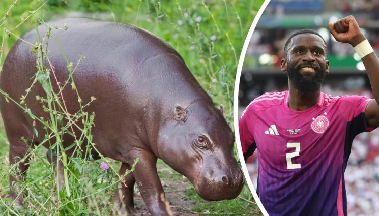 Антонио Рюдигер - Кръстиха бебе хипопотам на Рюдигер