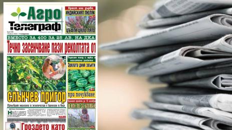 Агро Телеграф