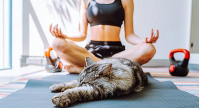 котка и момиче правещо йога