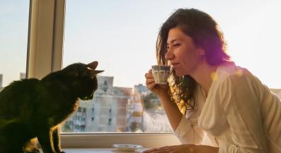 домашна котка