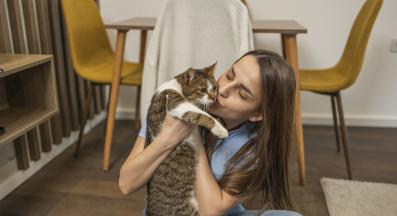 домашна котка