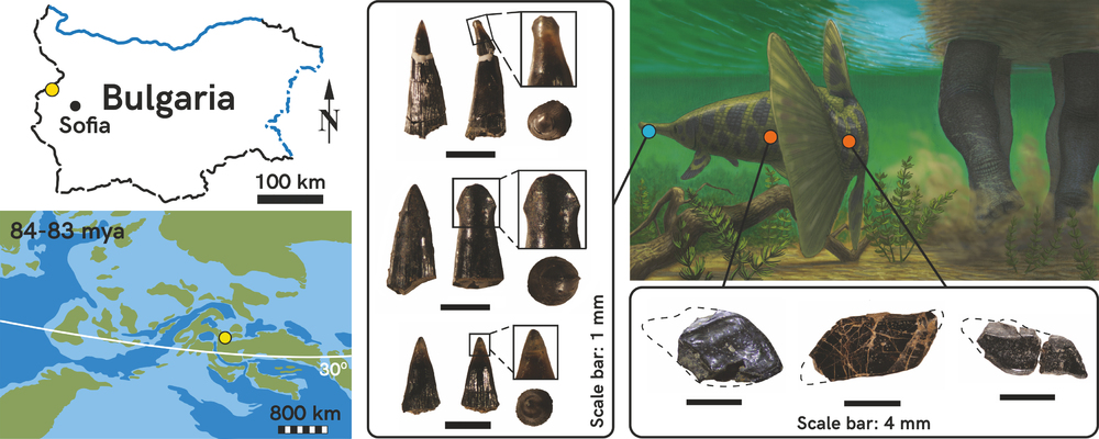 панцерна щука динозаври България