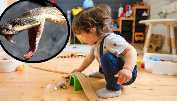 змия - ТОТАЛЕН ШОК: Едногодишно дете ухапа и уби змия! (ВИДЕО)