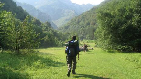 Здраве с Телеграф