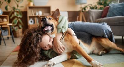 куче човек обич