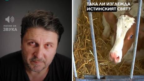 Невидими животи