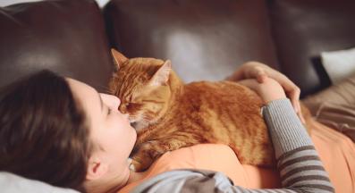 домашна котка