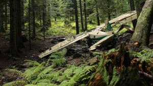 Самолет с девет пътници се разби в четвъртък близо до тайландската