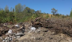 Един загинал и 38 в неизвестност след срутване на огромно сметище във Филипините