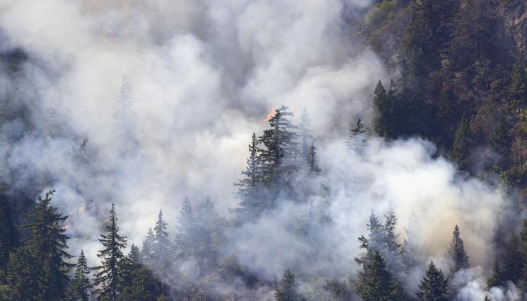 пожар горски - МНОГО ЛОШО: Огнената стихия в Рила не може да бъде спряна! (СНИМКИ)