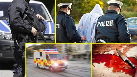 Германия арест полиция
