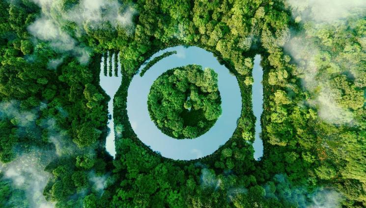 био храни - НЯМА КАК БЕЗ ТЯХ: Биомляко и месо влизат в училища и болници!