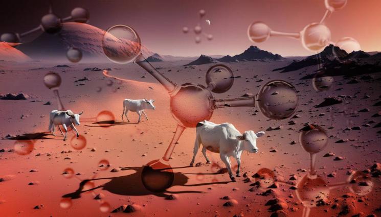 крави марс - ДОБИТЪК В КОСМОСА: Метанът на Марс се дължи на малки крави?!