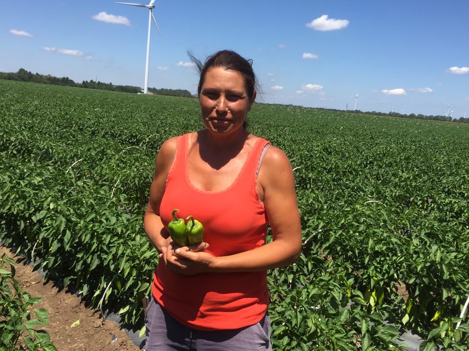 Агро Телеграф