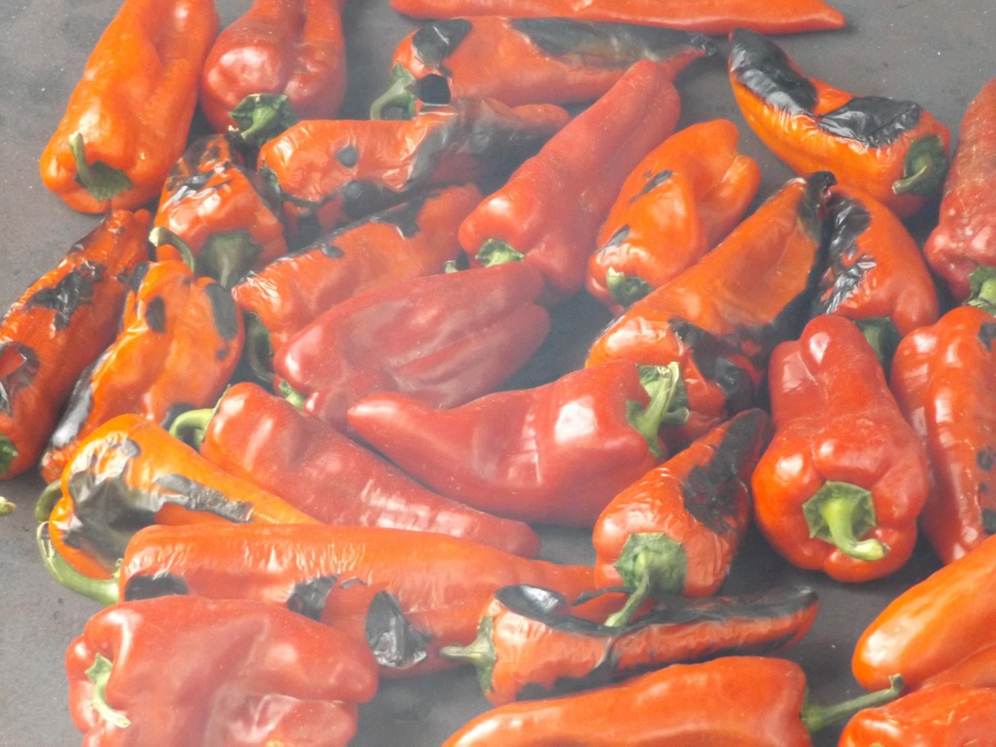 Агро Телеграф