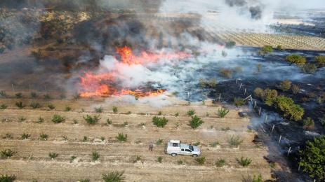 Старозагорско гори