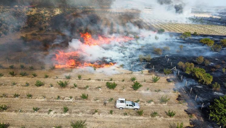 Старозагорско гори - СТАРОЗАГОРСКО В БЕДА: Огнен ад вдигна накрак управници и пожарникари! (СНИМКИ)
