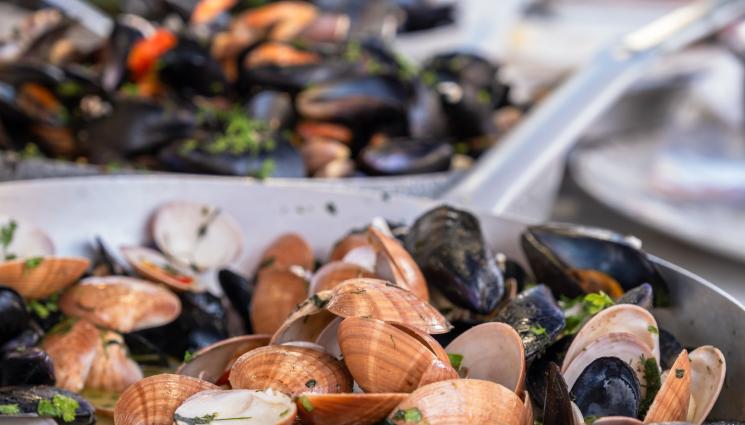 миди - ВНИМАНИЕ: Откриха Ешерихия коли в миди на пазара във Варна!