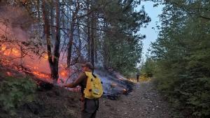 Пожарът в гористите местности под с Каменар край Варна бе