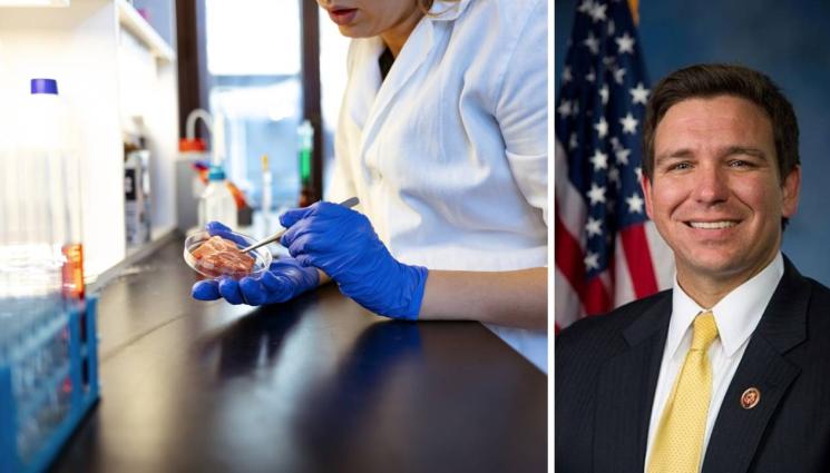 агро - Агро Телеграф: Фирма съди Флорида за забрана на фалшивото месо