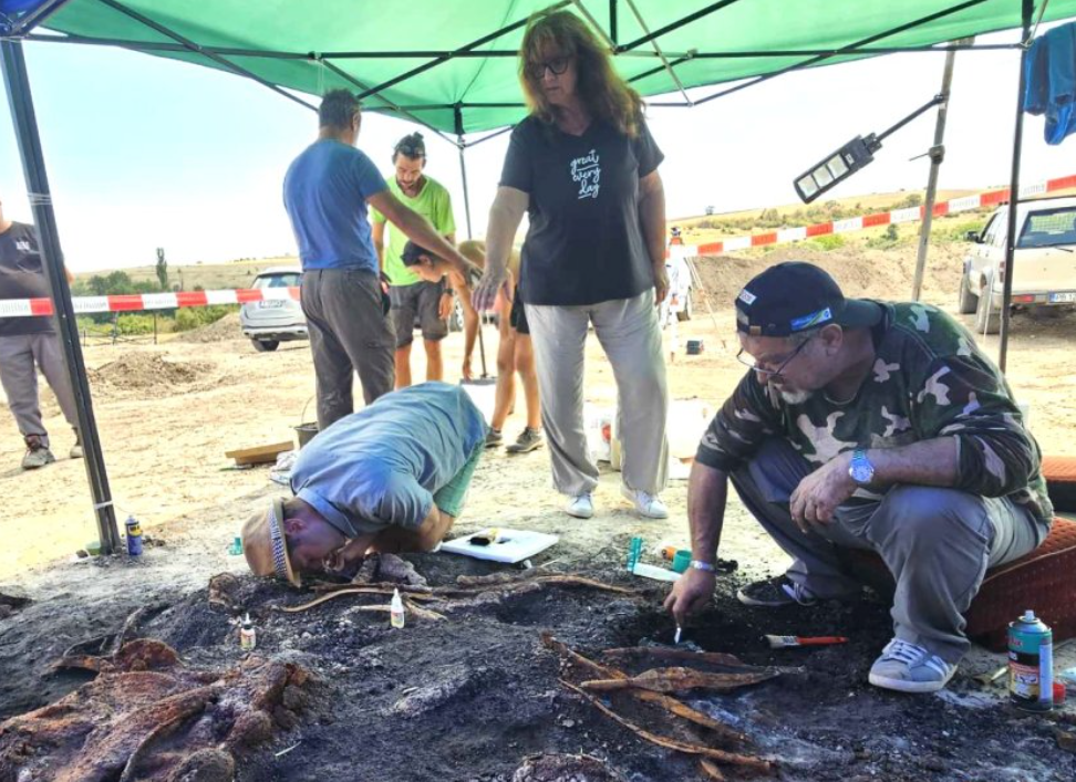 златно съкровище тракийски конник