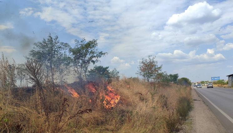 пожар - Запалиха 10 декара в София!