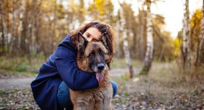 възрастно куче