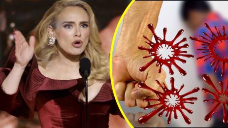 Адел побой кръв