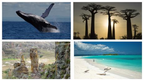 Магадаскар