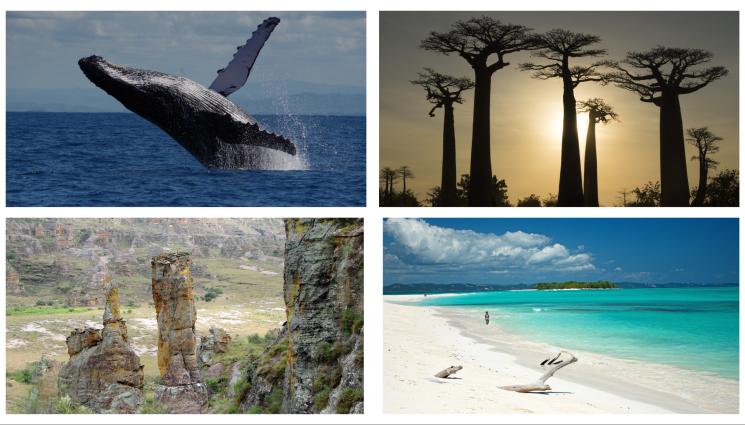 Магадаскар - ЕКЗОТИКА: В Мадагаскар животът е от друга планета