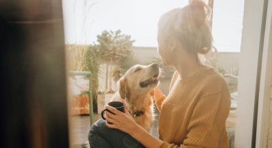 куче щастливо