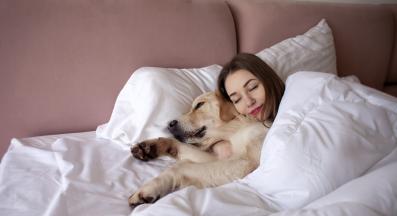 куче щастливо