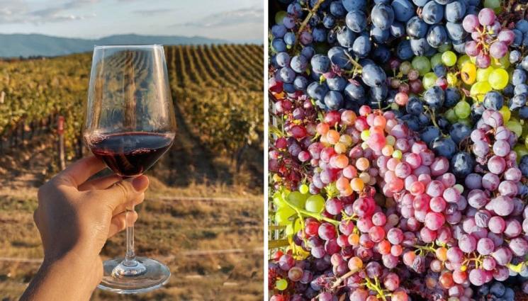 Агро - Агро Телеграф: Литърът ракия – 14 лв. от казана (СНИМКИ)