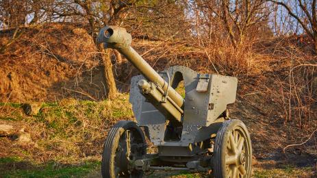 самоходни артилерийски установки