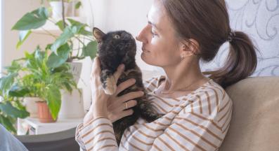 котка вкъщи