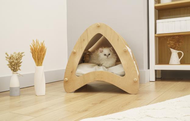 котка у дома