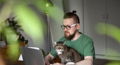 котка и работа от вкъщи