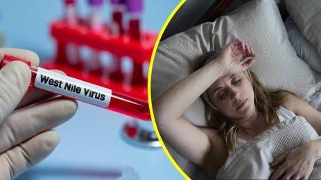 Нилска треска тест