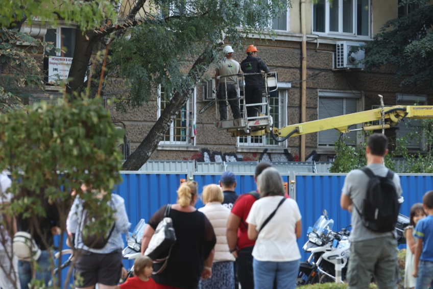 изсичане дървета Опълченска София