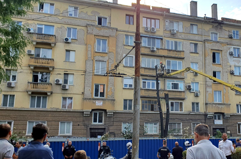 изсичане дървета Опълченска София