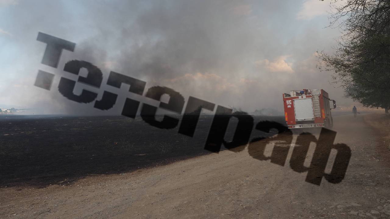 кв Димитър Миленков